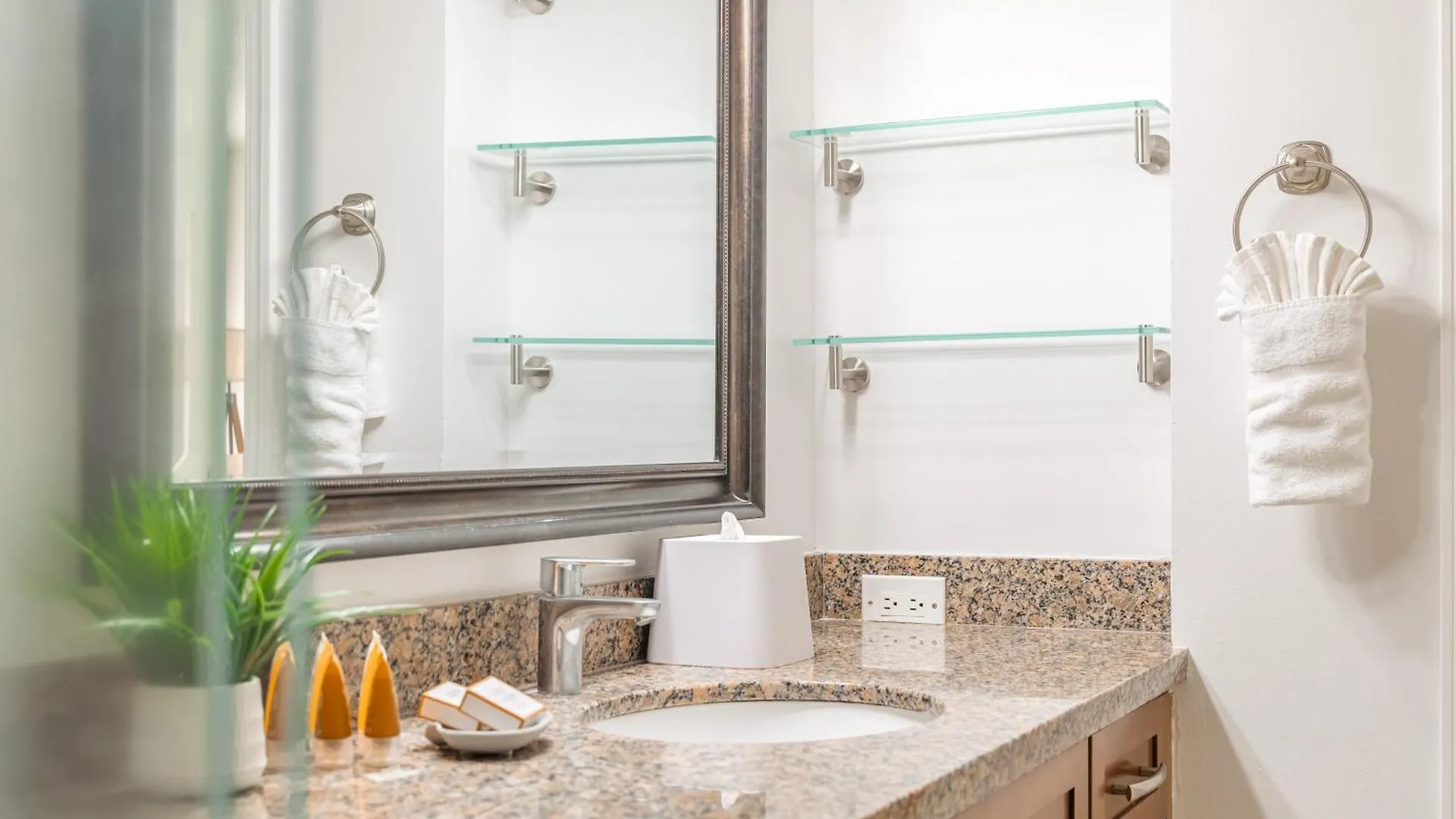 Diamond Head View Condo, Steps To Beach & Free Parking! Honolulu Apartment