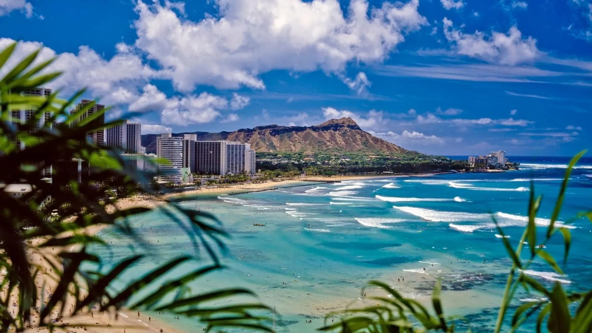 Apartment Diamond Head View Condo, Steps To Beach & Free Parking! Honolulu