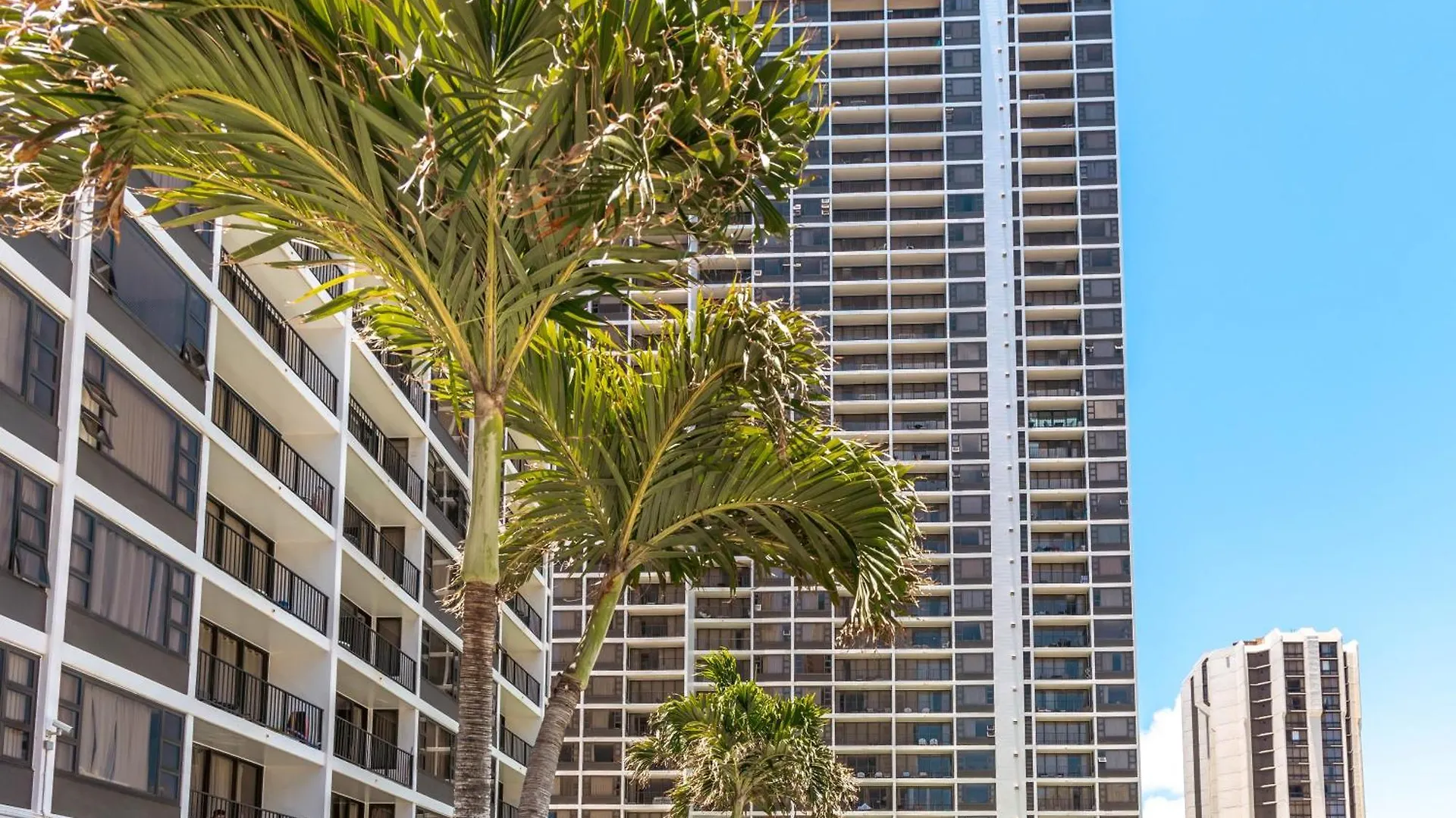 Diamond Head View Condo, Steps To Beach & Free Parking! Honolulu